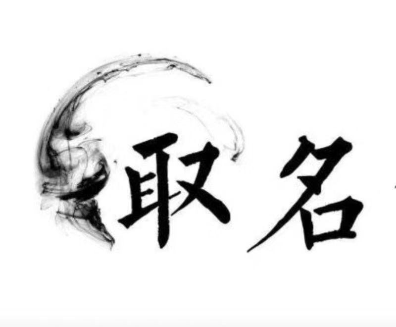  康马宝宝取名 大师一对一人工起名
