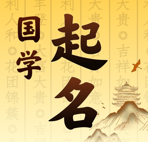 康马国学起名 人工起名一对一